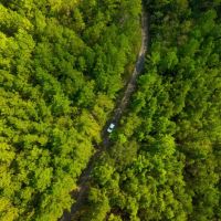 Satilla River Plantation images 2