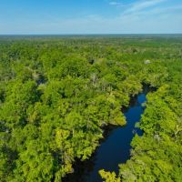 Satilla River Plantation images 3