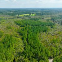 Satilla River Plantation images 4