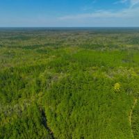 Satilla River Plantation images 5