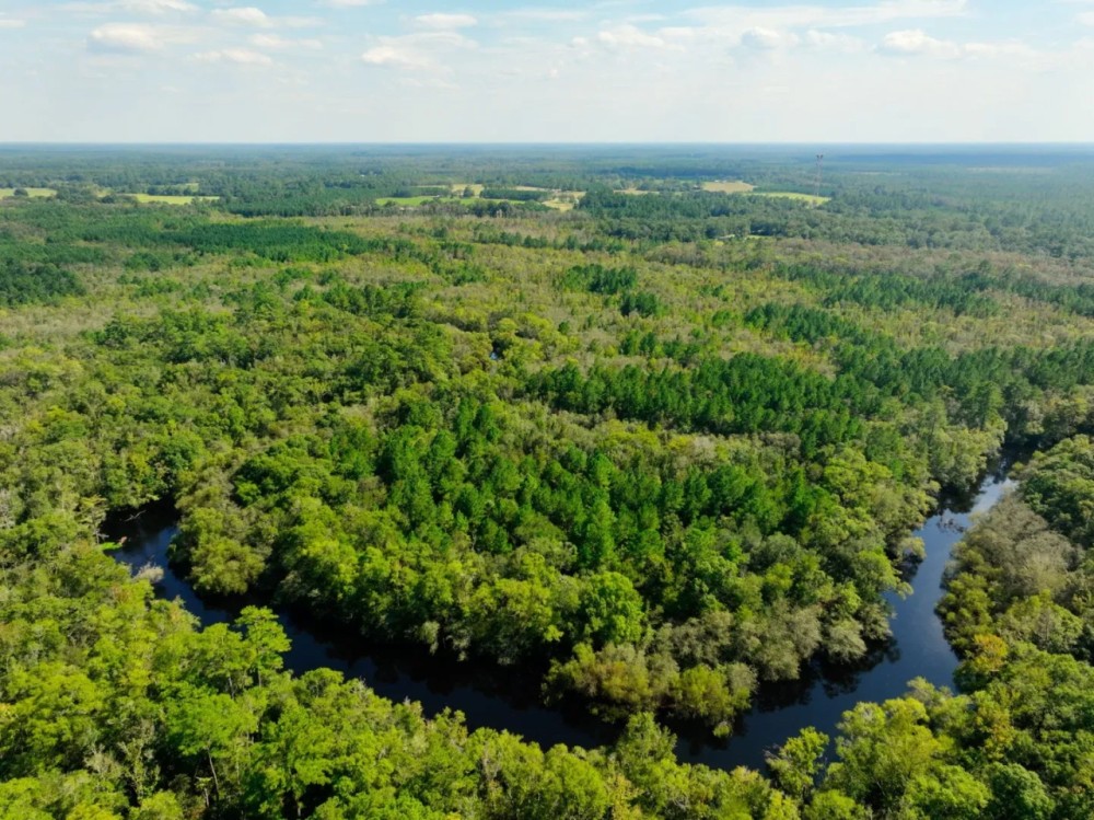 Satilla River Plantation featured image