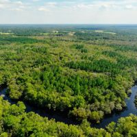 Satilla River Plantation