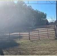 156 Acres in Lauderdale County in Collinsville MS images 3