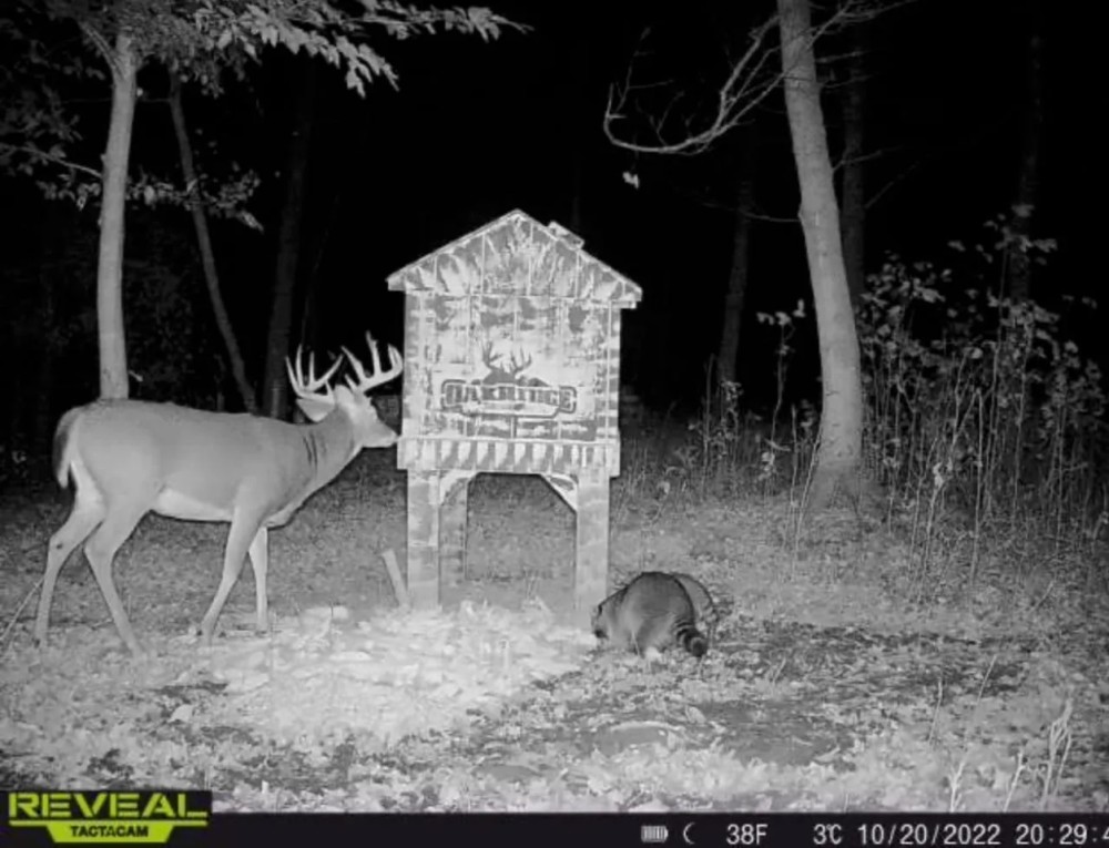 Virginia Ridge Rd - 7 acres - Muskingum County featured image