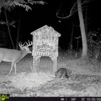 Virginia Ridge Rd - 7 acres - Muskingum County