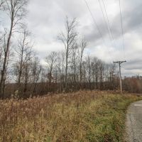 Virginia Ridge Rd - 7 acres - Muskingum County images 2