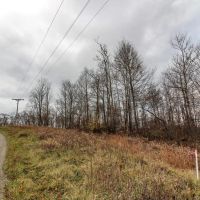 Virginia Ridge Rd - 7 acres - Muskingum County images 3