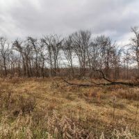 Virginia Ridge Rd - 7 acres - Muskingum County images 4