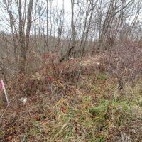 Virginia Ridge Rd - 7 acres - Muskingum County images 5