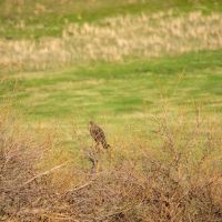 Barrick Farm images 5