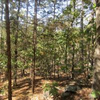 Secluded Unrestricted Kiamichi Wilderness Building Lot on Edge of Shorty Creek Pushmataha County OK 5 AC images 2