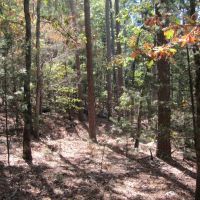 Secluded Unrestricted Kiamichi Wilderness Building Lot on Edge of Shorty Creek Pushmataha County OK 5 AC images 3