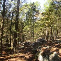 Secluded Unrestricted Kiamichi Wilderness Building Lot on Edge of Shorty Creek Pushmataha County OK 5 AC images 4