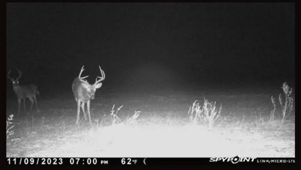 Hunting Land for Sale in Ouachita Parish featured image
