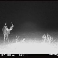 Hunting Land for Sale in Ouachita Parish
