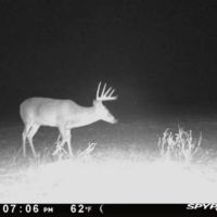 Hunting Land for Sale in Ouachita Parish images 2