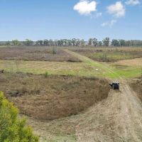 Hunting Land for Sale in Ouachita Parish images 3