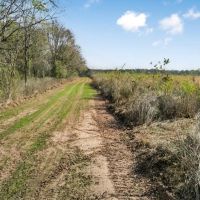 Hunting Land for Sale in Ouachita Parish images 5