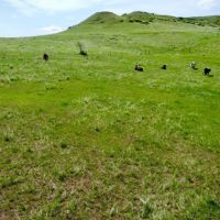Hidden Hills images 3