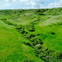Hidden Hills images 5