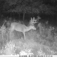 Red Rock Ranch images 4