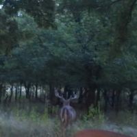 Red Rock Ranch images 5