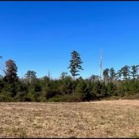 221 Acres in Winston County in Louisville MS