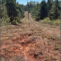221 Acres in Winston County in Louisville MS images 2