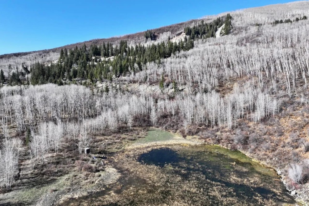 Bearslide Ranch featured image