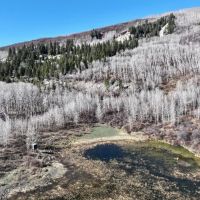 Bearslide Ranch