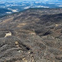 Bearslide Ranch images 4