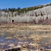 Bearslide Ranch images 5