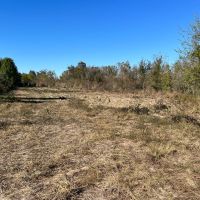 LA - Richland 43 acres - images 3