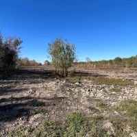 LA - Richland 43 acres - images 5