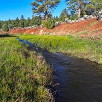 Elk Mountain Ranch images 4