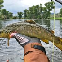 Marietta Creek Ranch images 3