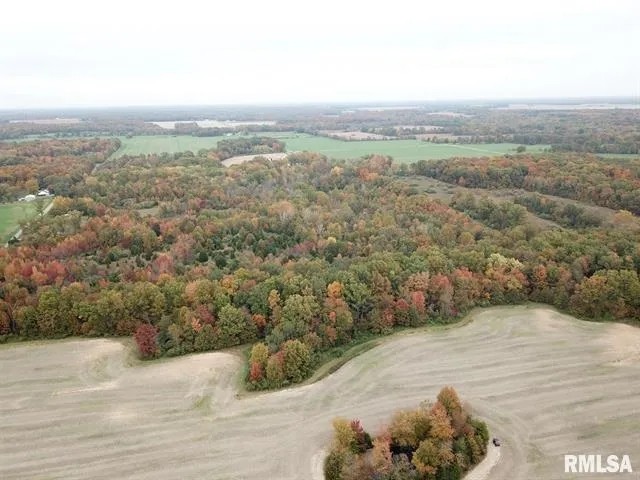 000 E County Road 490 E Road Xenia IL 62899 featured image
