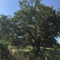 New Listing 16 - Acres Brown County