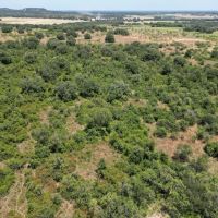 New Listing 16 - Acres Brown County images 5