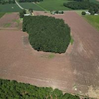 29.12 acres of Recreational and Farm Land For Sale in Robeson County NC images 2