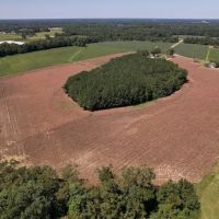 29.12 acres of Recreational and Farm Land For Sale in Robeson County NC images 3