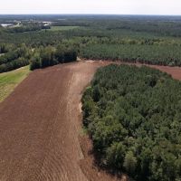 29.12 acres of Recreational and Farm Land For Sale in Robeson County NC images 5