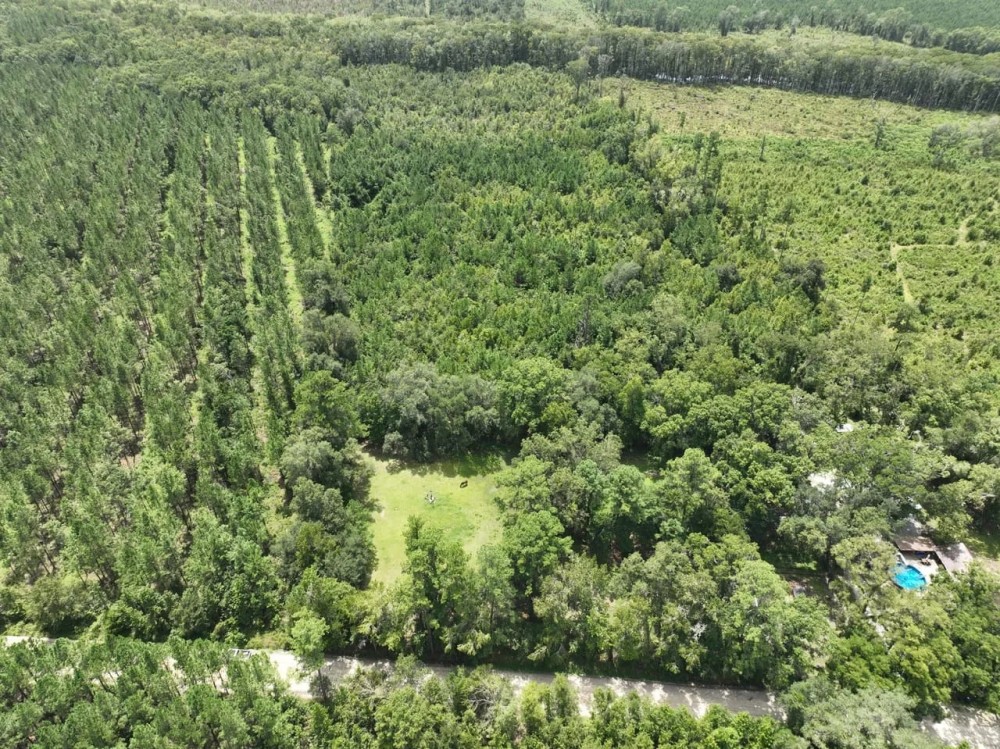 74 Acres Land For Sale in Camden County GA featured image