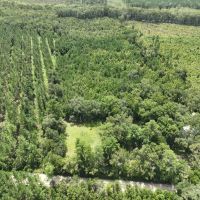 74 Acres Land For Sale in Camden County GA