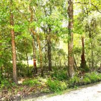 74 Acres Land For Sale in Camden County GA images 2