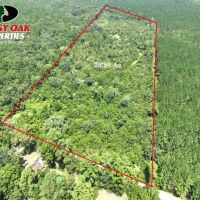 74 Acres Land For Sale in Camden County GA images 3