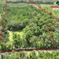 74 Acres Land For Sale in Camden County GA images 5