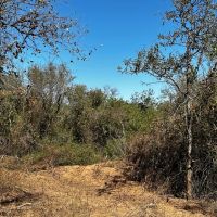 New Listing 15 - Acres Brown County images 3