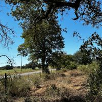 New Listing 15 - Acres Brown County images 4