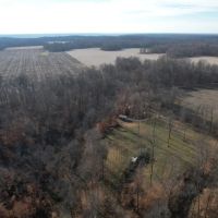 Land For Sale with a Cabin in Parke County IN 80 Acres - images 2